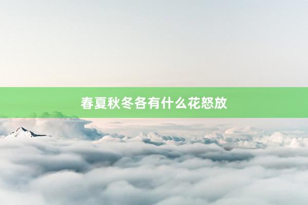 春夏秋冬各有什么花怒放